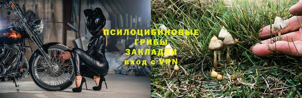 сатива Гусиноозёрск