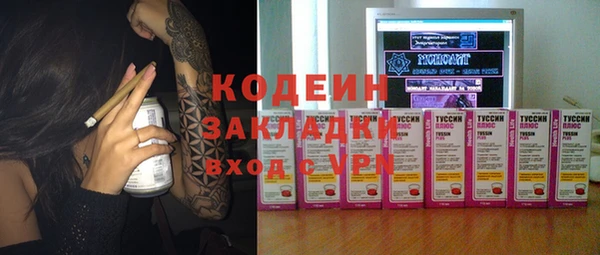 ГАЛЛЮЦИНОГЕННЫЕ ГРИБЫ Гусь-Хрустальный